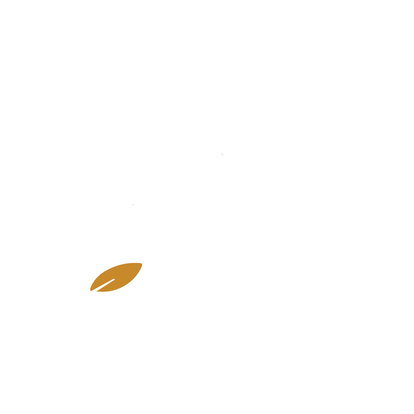 AHF-Habitat-Toiture-Charpente